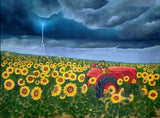 Assorted 8x10 prints by Elaine Burke