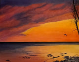Assorted 8x10 prints by Elaine Burke