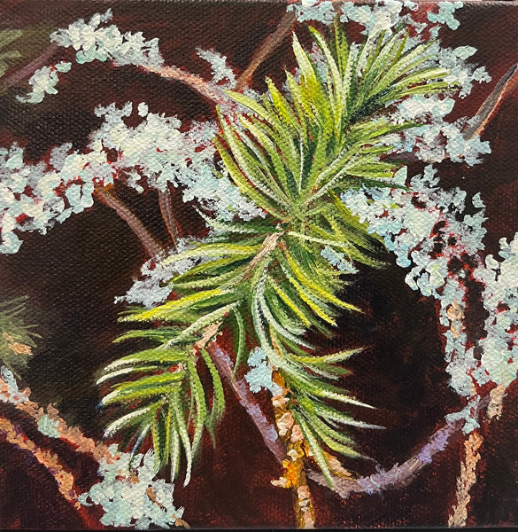 Spruce Bough - original painting by Valerie Spence Hounsell