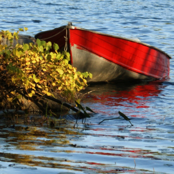 Little Red - original painting by Valerie Spence Hounsell
