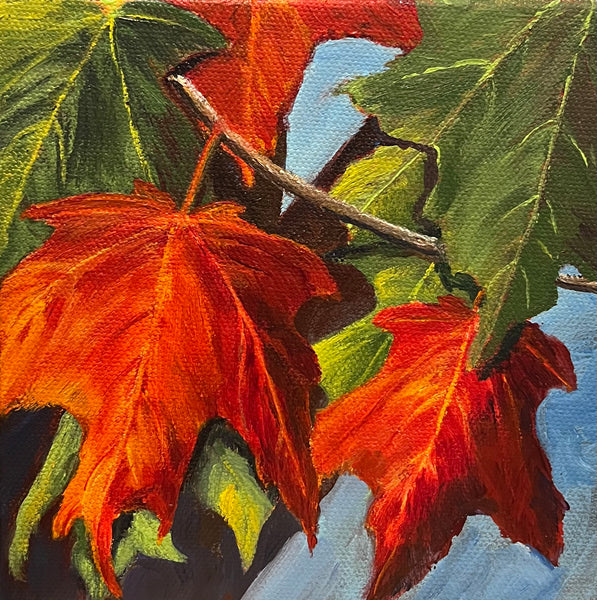 Canadian Glory - original painting by Valerie Spence Hounsell