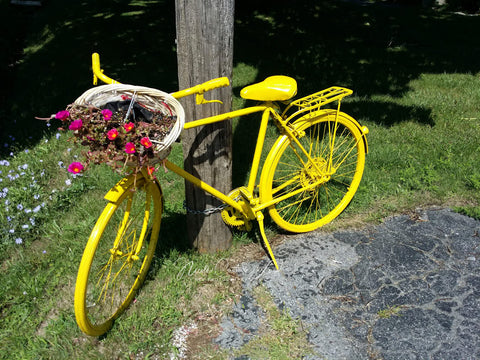 Yellow bicycle - 8x10 print - 8x10 print by Nicole Couture-Lord - Martello Alley
