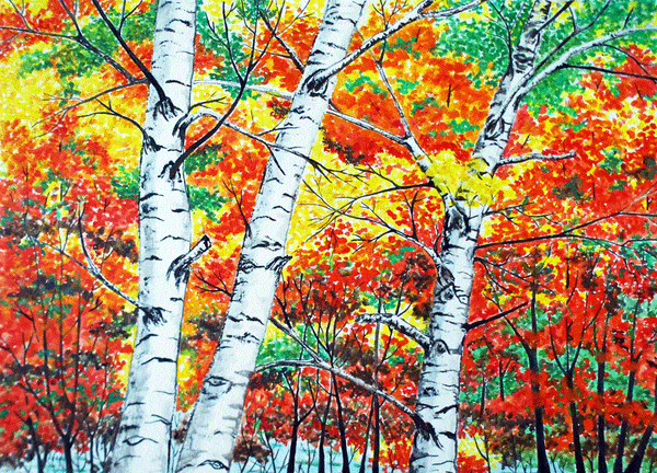 Algonquin Birches - 11 x 14 print by Cathie Hamilton - Martello Alley