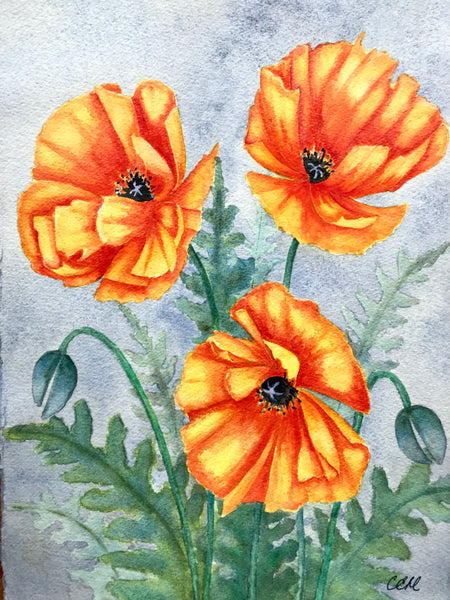 Poppies 2 - 11 x 14 print by Cathie Hamilton - Martello Alley