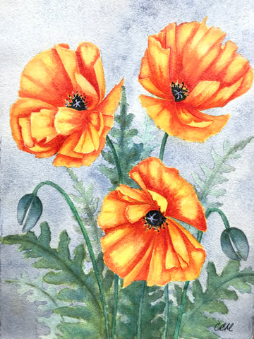 Poppies 2 - 8 x 10 print by Cathie Hamilton - Martello Alley