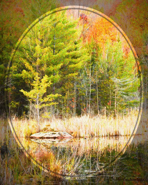 Autumn Reflection - 20 x 16 inches canvas print - 20 x 16 inches canvas prints by Nicole Couture-Lord - Martello Alley