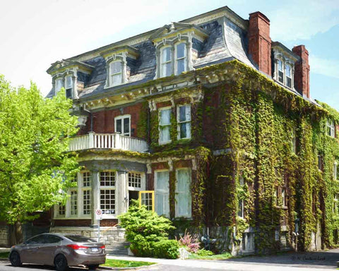 Hotel Belvedere - print 8x10 inches - 8" x 10" print by Nicole Couture-Lord - Martello Alley