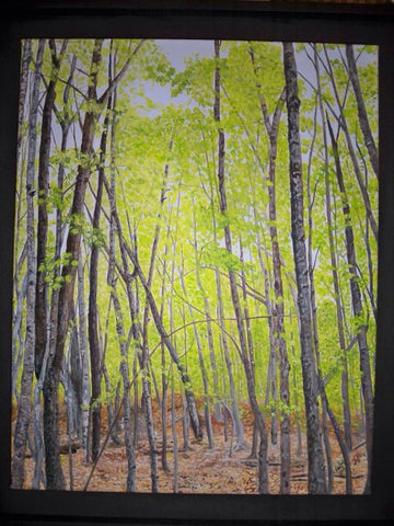 Gatineau in Spring - 8" x 10" canvas print by Lori Kallay - Martello Alley