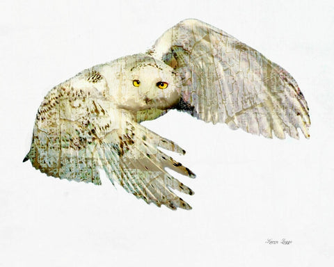 Abstract snowy owl print - 8x10 print by Karen Leggo - Martello Alley