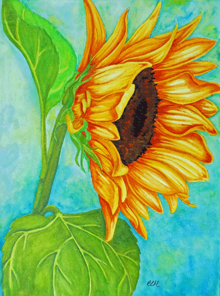 Glowing Sunflower - 8 x 10 Print by Cathie Hamilton - Martello Alley
