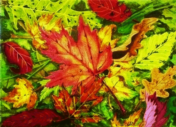 Fallen Leaves - Print 8x10 by Cathie Hamilton - Martello Alley