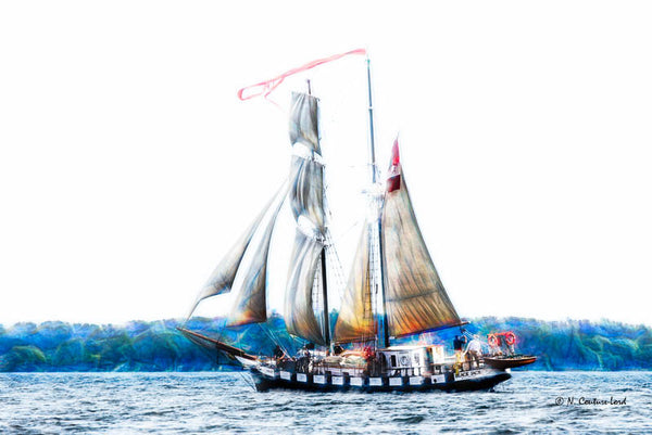 Tall ship - Black Jack - print 8 x 10 - 8 x 10 prints by Nicole Couture-Lord - Martello Alley