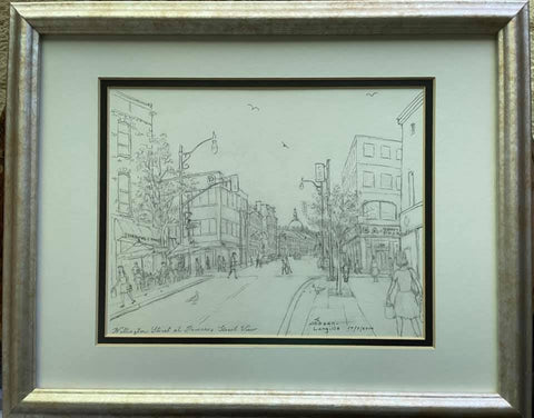 Wellington at Princess Street View