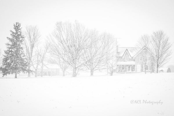 Winter scene - print 12 x 8 inches - 12 x 8 inches by Nicole Couture-Lord - Martello Alley