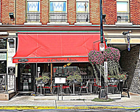 Le Chien Noir - 8x10 print by Karen Leggo - Martello Alley