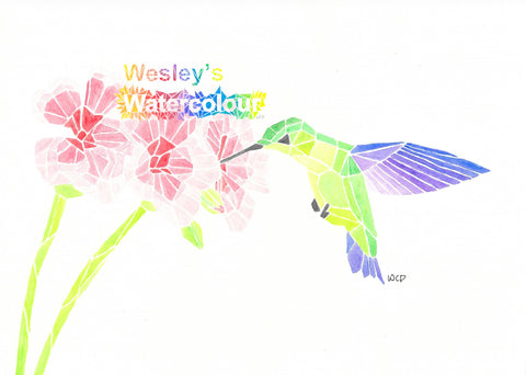 Watercolour Greeting Card of Hummingbird with Flowers