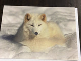 Fox cards