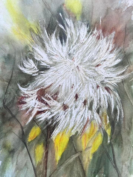 Milkweed in the Wind - original by Leith Channen