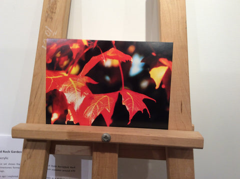 Maple Leaves - Greeting card by Karen Leggo - Martello Alley