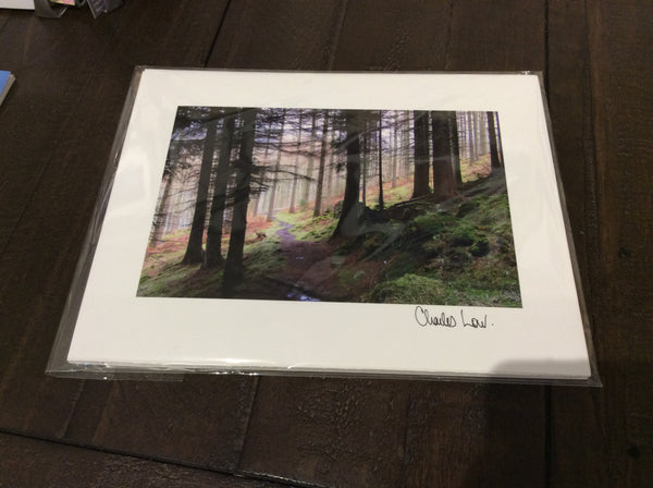 Charles Low photograph prints