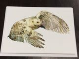 Owl card collection