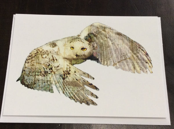 Owl card collection