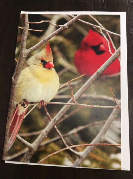 Winter Cardinals Card