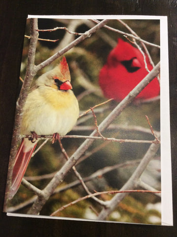 Winter Cardinals Card