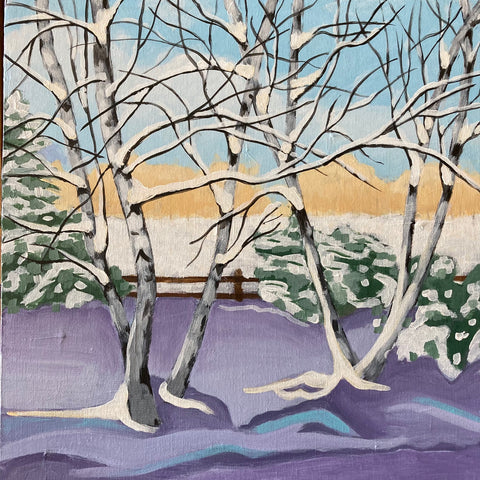 Winter Birches (12)