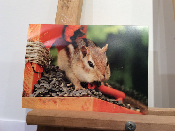 Chippy - Greeting card by Karen Leggo - Martello Alley