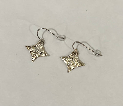 Silver square Earrings - by Leslie Welfare