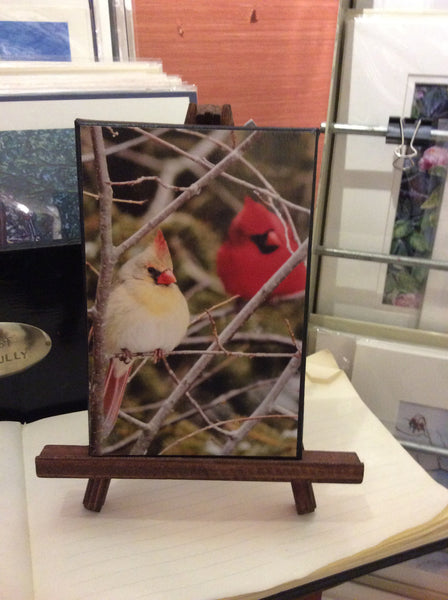 Winter Cardinals - 5x7 canvas print on easel - 5x7 canvas print on easel by Karen Leggo - Martello Alley