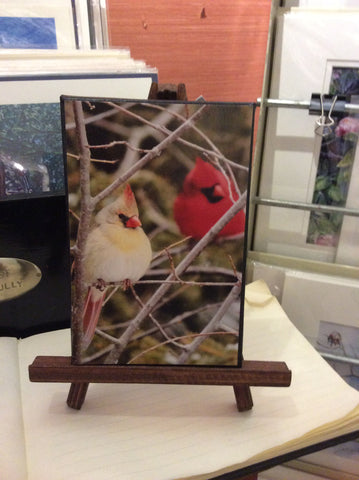 Winter Cardinals - 5x7 canvas print on easel - 5x7 canvas print on easel by Karen Leggo - Martello Alley