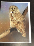 Owl card collection
