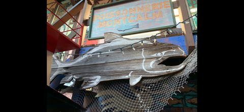 Salmon on barn board - Outdoor art by Penny Gorman - Martello Alley