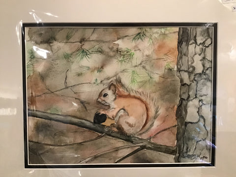 Red Squirrel with Acorn - Original Watercolour Julie Kojro