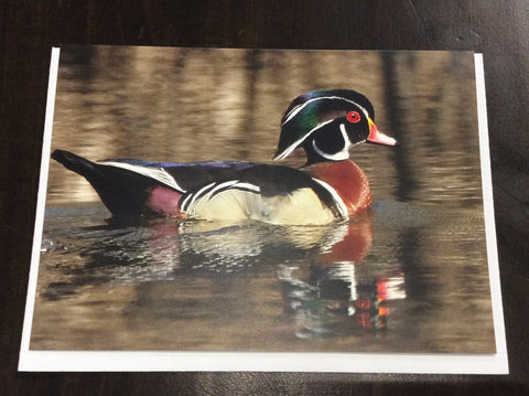 Wood duck card