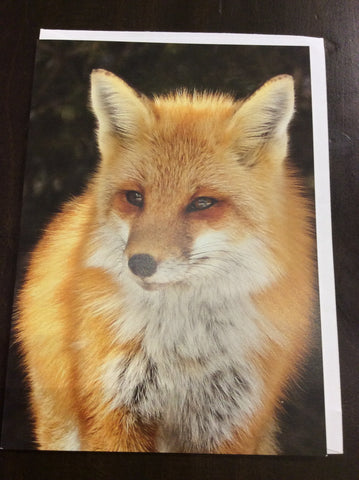 Fox cards