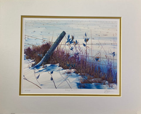 Fence Line Horizontal (large print) - by Valerie Spence Hounsell
