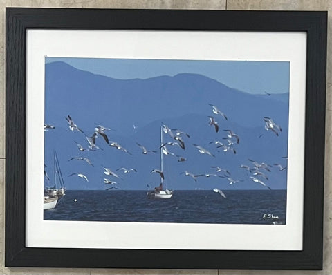 Gulls and Sailboats by Ed Shea