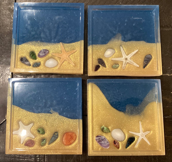 Shell Coasters