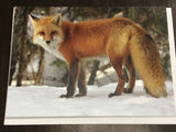 Fox cards